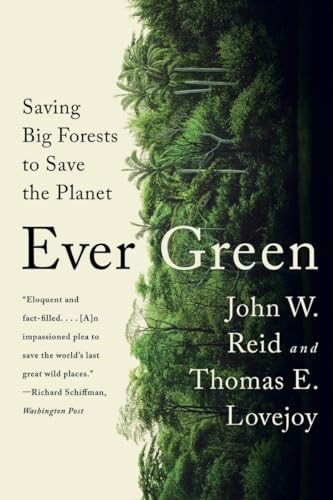 Stock image for Ever Green: Saving Big Forests to Save the Planet for sale by Brook Bookstore