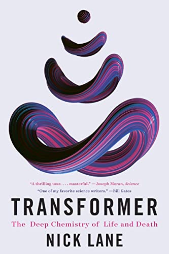 Beispielbild fr Transformer zum Verkauf von Blackwell's