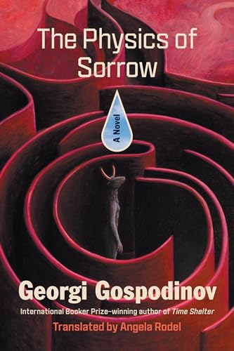 Beispielbild fr The Physics of Sorrow: A Novel [Paperback] Gospodinov, Georgi and Rodel, Angela zum Verkauf von Lakeside Books