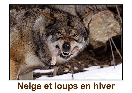 Stock image for Neige et loups en hiver (Livre poster DIN A3 horizontal): Des loups en enclos  quarante-cinq minutes de Nice et des stations de sports d'hiver (Livre poster , 14 Pages) for sale by Revaluation Books