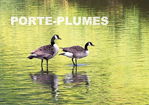 Stock image for PORTE-PLUMES (Livre poster DIN A3 horizontal): Les oiseaux de nos tangs, lacs et cours d'eau font ici leur parade. (Livre poster , 14 Pages) for sale by Revaluation Books