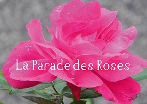 Stock image for La Parade Des Roses Livre Poster Din for sale by Revaluation Books