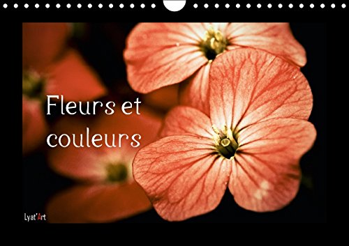 Stock image for Fleurs Et Couleurs: Calendrier Mensuel Sur Le Theme Des Fleurs Et Des Couleurs (Calvendo Nature) for sale by Revaluation Books