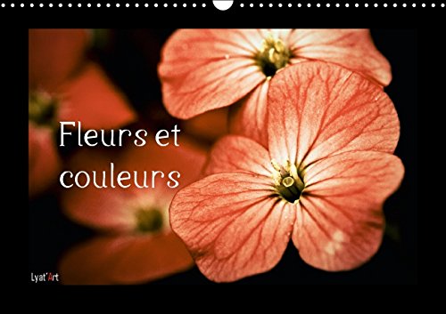 9781325039845: Fleurs et couleurs: Calendrier perptuel A3 horizontal (Calvendo Nature)