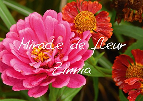 Stock image for Miracle De Fleur Zinnia Livre Poster for sale by Revaluation Books