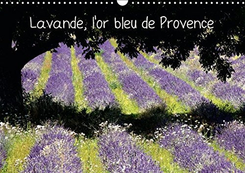 9781325056170: Lavande, l'or bleu de Provence 2016: La lavande, symbole de la Provence, qui colore et parfume les hauts plateaux provenaux de la Drome, du Vaucluse, et des Alpes de Haute Provence (Calvendo Places)