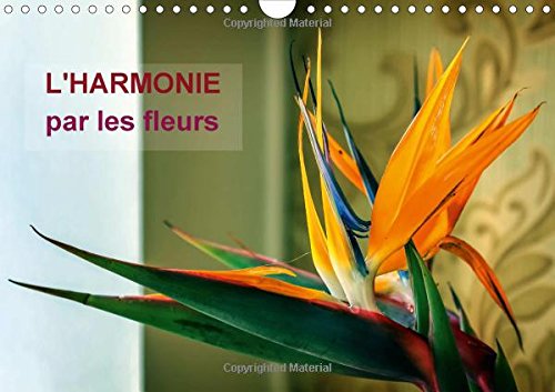 9781325056453: L'harmonie par les fleurs 2016: Arretons-nous un instant pour admirer la beaute fragile et gracieuses des fleurs! (Calvendo Places) (French Edition)