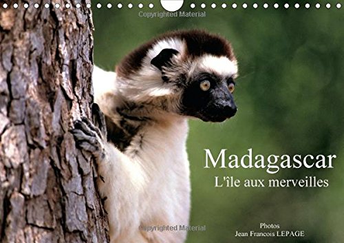 Stock image for Madagascar, l'le aux merveilles ; calendrier mural 2016 DIN A4 horizontal for sale by Chapitre.com : livres et presse ancienne