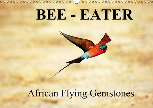 9781325064625: Bee - Eater - African Flying Gemstones / UK-Version 2016: African Bee-Eaters at the riverbanks of the Sambesi, border between Sambia and Namibia (Calvendo Animals)