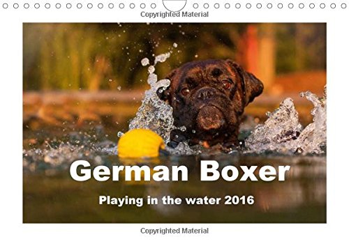 9781325069620: German Boxer / UK-Version 2016: Playing in the water 2015 (Calvendo Animals)