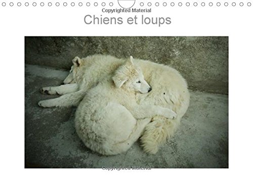 Stock image for Chiens et loups 2016: Photographies de chiens et loups de France et du Canada (Calvendo Animaux) for sale by Revaluation Books