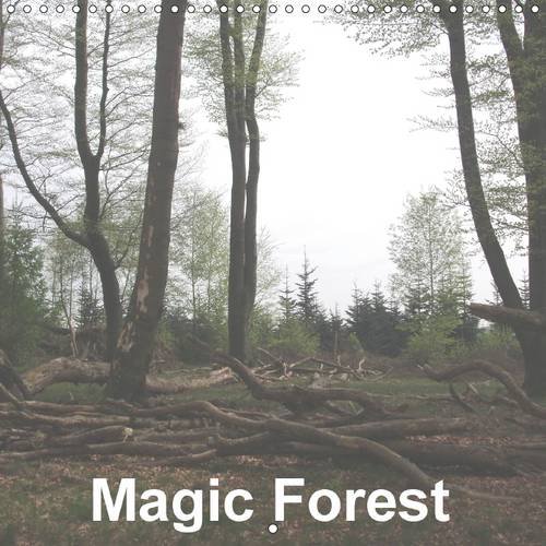 9781325072552: Magic Forest 2016: Discover The Magic Forest (Calvendo Nature)