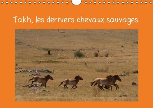 Stock image for Takh, les derniers chevaux sauvages 2016: Nom mongol de ce cheval originaire d'Asie Centrale (Calvendo Animaux) for sale by Revaluation Books