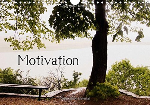 9781325074532: Motivational Quotes Driamond: Dream Ambition Motivation 2016: Monthly motivational quotes (Calvendo Nature)