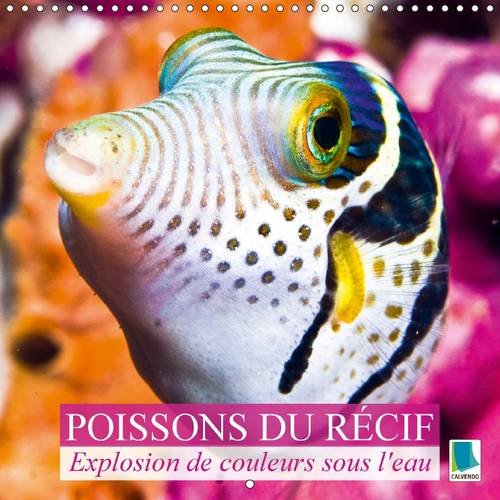 9781325076741: Explosion de couleurs sous la mer : poissons du rcif 2016: Poissons et coraux (Calvendo Animaux)