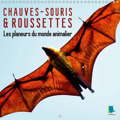 9781325077014: Chauves-souris et roussettes : les planeurs du monde animalier 2016: L'cho dans la nuit – Chauves-souris et roussettes (Calvendo Animaux)