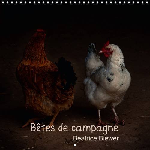 Stock image for Betes de campagne 2016: Des animaux de nos campagnes (Calvendo Animaux) for sale by Revaluation Books