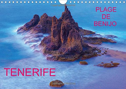 9781325088102: TENERIFE PLAGE DE BENIJO 2016: La plage solitaire de Benijo est aussi sauvage que les vagues qui se prcipitent sur ses rcifs basaltiques et son sable noir. (Calvendo Nature)