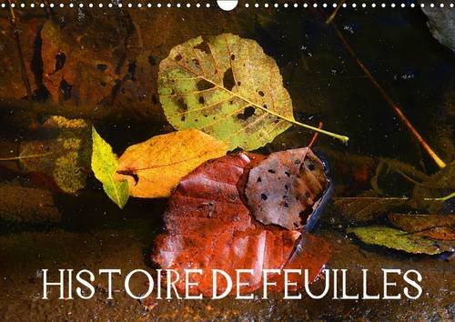 9781325088614: HISTOIRE DE FEUILLES 2016: Quand les feuilles d'automne jouent les starlettes... (Calvendo Nature)