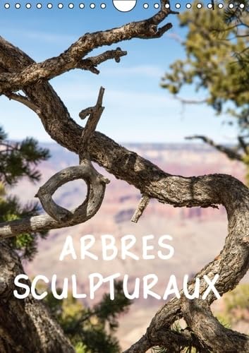 9781325089079: Arbres sculpturaux: L'arbre, comme sculpture, dans des paysages grandioses o il devient objet d'art, symbole ou refuge. Calendrier mural A4 vertical 2016 (Calvendo Nature)