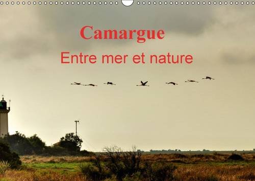 9781325093281: Camargue entre mer et nature: Au coeur de la Camargue, entre mer et marais salants. Calendrier mural A3 horizontal 2016 (Calvendo Places)