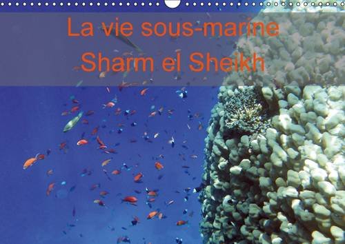 9781325096442: La vie sous-marine Sharm el Sheikh 2016: Photos de la faune de Sharm el Sheikh (Mer Rouge) (Calvendo Animaux)