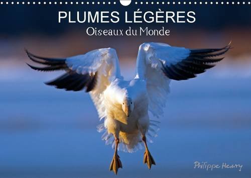 9781325096718: PLUMES LGRES. Oiseaux du Monde 2016: Treize photos d'oiseaux en action, photographis avec l'oeil d'artiste de philippe Henry (Calvendo Animaux)