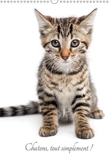 9781325105755: Chatons, tout simplement ! 2016: Magnifiques photographies de jeunes chats ralises par le studio Life on White (Calvendo Animaux)