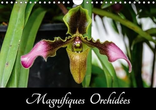 9781325108022: Magnifiques orchides: Belles photographies d'orchides exotiques. Calendrier mural A4 horizontal 2016