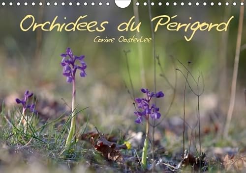 9781325110490: Orchides du Prigord: Belles et fragiles fleurs sauvages. Calendrier mural A4 horizontal 2016 (Calvendo Nature)