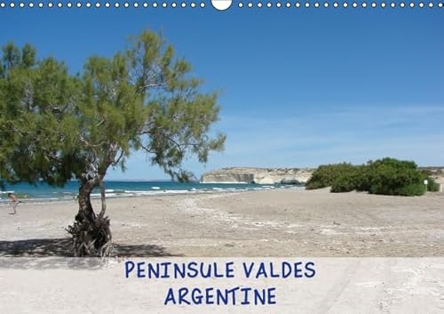 9781325113439: Pninsule Valdes, rserve naturelle d'Argentine: Calendrier mural A3 horizontal (Calvendo Places)
