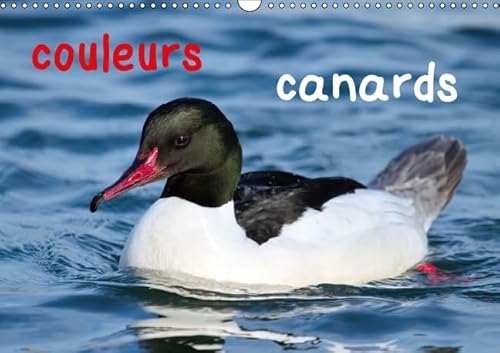 9781325117161: Couleurs canards: Canards aux couleurs varies et enchanteuses. Calendrier mural A3 horizontal 2016