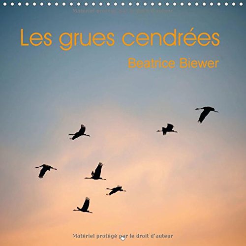 Stock image for Les grues cendrees 2016: Le vol des grands migrateurs (Calvendo Animaux) for sale by Revaluation Books