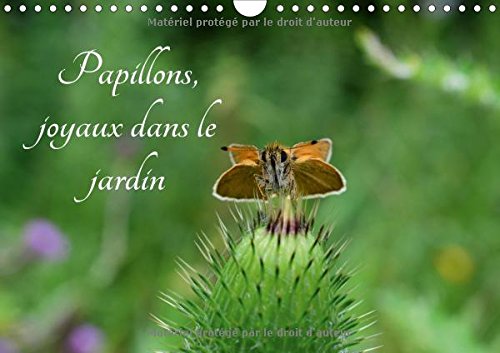 9781325119288: Papillons, joyaux dans le jardin: Des papillons dans les jardins de l'Europe. Calendrier mural A4 horizontal 2016