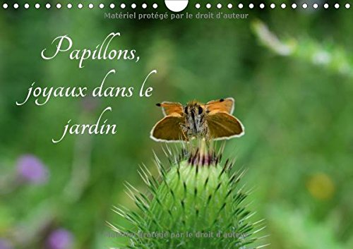 9781325119288: PAPILLONS JOYAUX DANS LE JARDIN CALENDRIER MURAL 2016 DIN A4 HORIZONTAL