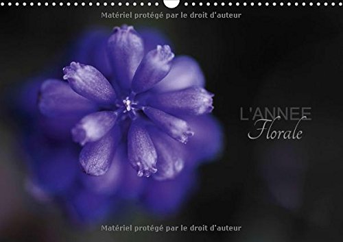 9781325119530: L'anne florale: 13 fleurs pour une anne. Calendrier mural A3 horizontal 2016