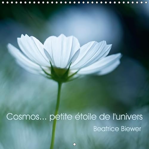 Stock image for Cosmos. petite etoile de l'univers 2016: Une jolie fleur toute en legerete (Calvendo Nature) for sale by Revaluation Books