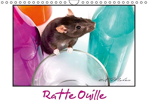 9781325121267: Ratte ouille: Gentille muride. Calendrier mural A4 horizontal 2016
