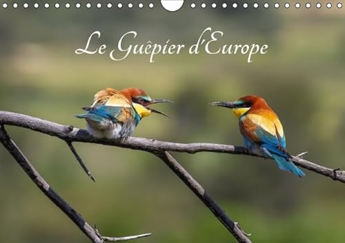 9781325122004: Le gupier d'Europe - merops apiaster: Dcouvrez chaque mois les diffrentes facettes du gupier d'Europe. Calendrier mural A4 horizontal