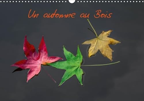 9781325122134: Un automne au Bois 2016: Un automne dans le Bois de Boulogne. (Calvendo Places)