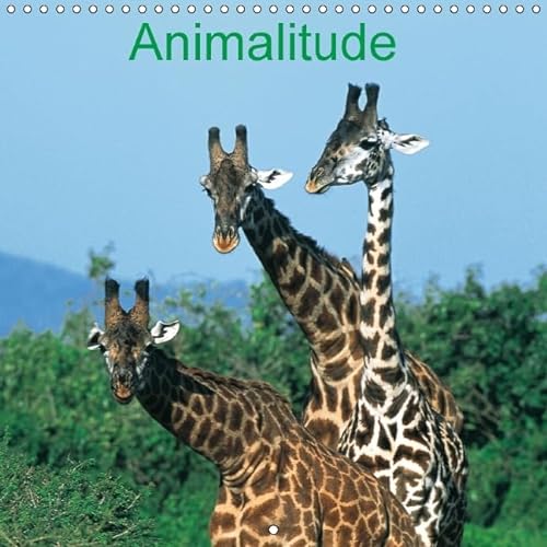 9781325122776: Animalitude 2016: Sachons prserver la faune, de ses spectacles naturels uniques et sachons la regarder. (Calvendo Animaux)