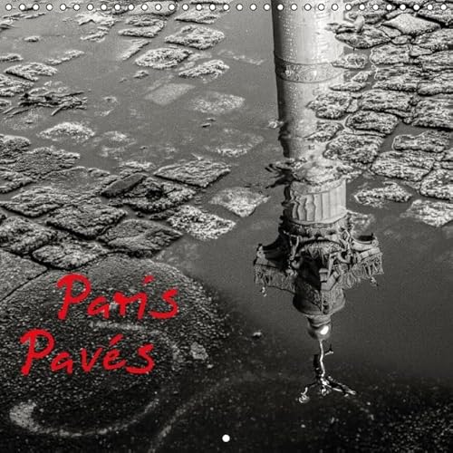 9781325123780: Paris pavs: Paris dans le dtail, les ombres et les reflets. Calendrier mural