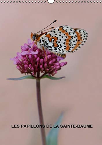 9781325132089: Les papillons de la Sainte-Baume 2016: Les magnifiques papillons de la Sainte-Baume (Calvendo Nature)