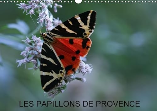 9781325132300: Les papillons de Provence 2016: Les beaux papillons aux couleurs de la Provence. (Calvendo Nature)