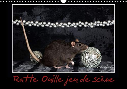 9781325132546: Ratte Ouille jeu de scne 2016: Petite ratte en spectacle. (Calvendo Animaux)
