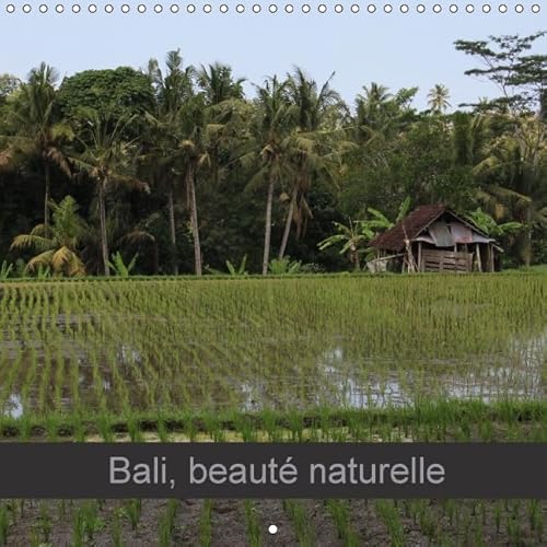 9781325133635: Bali, beaut naturelle: Paysages du bout du monde. Calendrier mural 2016 (Calvendo Places)