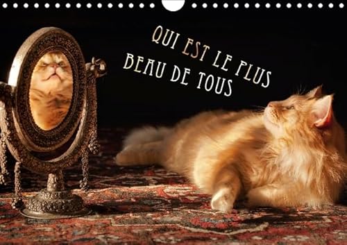 9781325134144: QUI EST LE PLUS BEAU DE TOUS 2016: Chats levs dans l'examen. Beaux, sduisants et dangereux. (Calvendo Animaux)