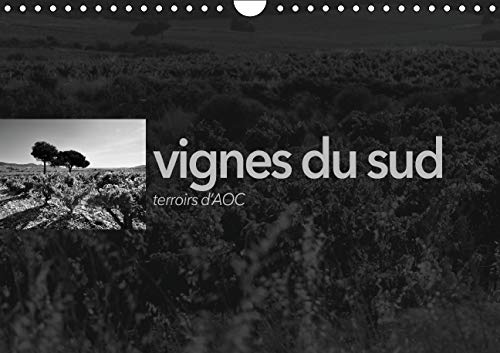 9781325134816: VIGNES DU SUD terroirs d'AOC 2016: Paysages des terroirs viticoles AOC du sud de la France (Calvendo Nature)