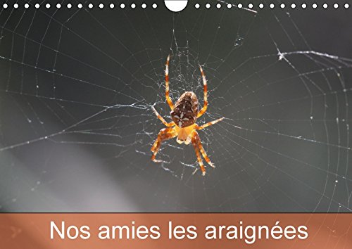 9781325135141: Nos amies les araignes: Le monde des araignes et des insectes. Calendrier mural A4 horizontal 2017