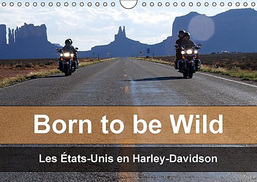 Stock image for Born to be Wild - Les Etats-Unis en Harley-Davidson 2017: Les Magnifiques Paysages du Sud-Ouest Americain vus de la Selle d'Une Harley (Calvendo Mobilite) for sale by Revaluation Books